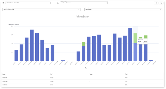 Production Summary Report